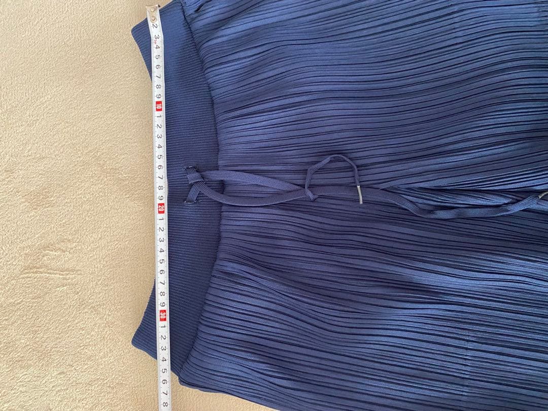 プリーツプリーズ