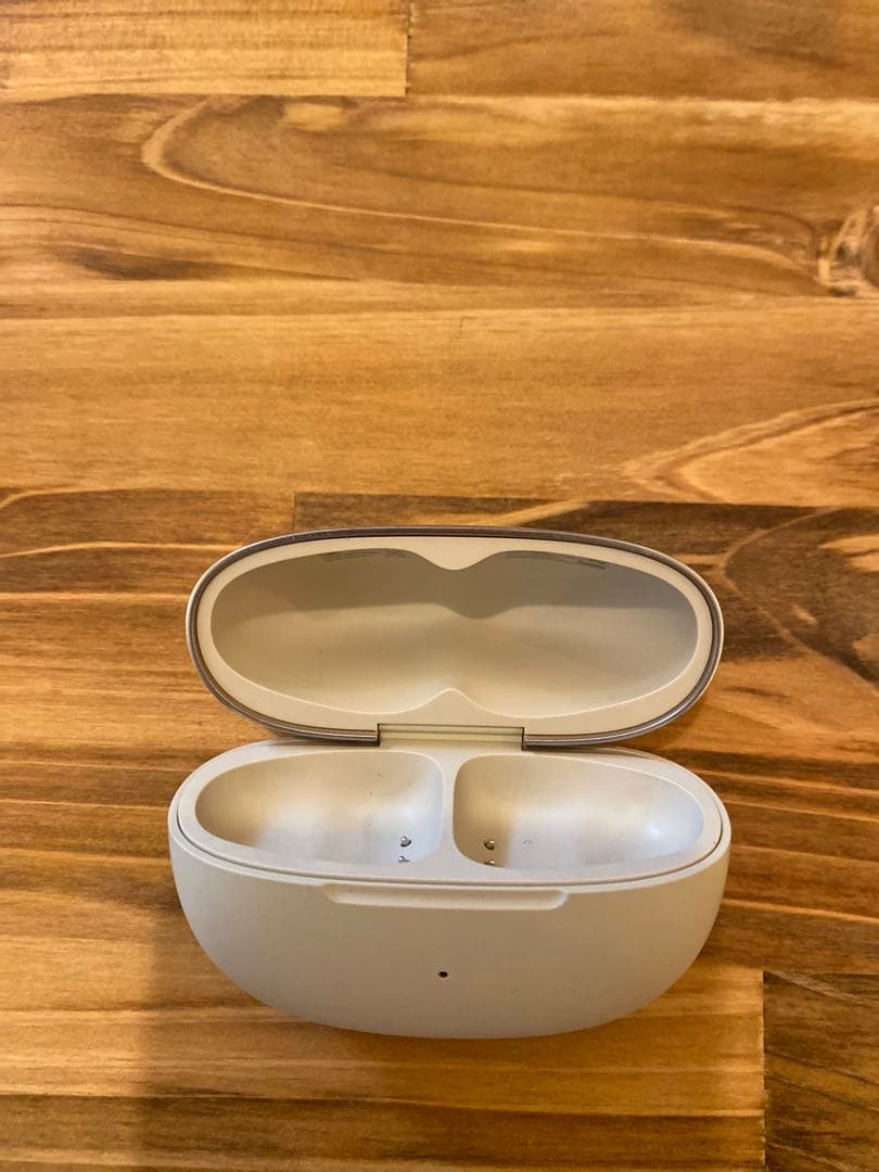 【ほぼ未使用】Shokz OpenDots ONE ケースのみ　グレー シルバー