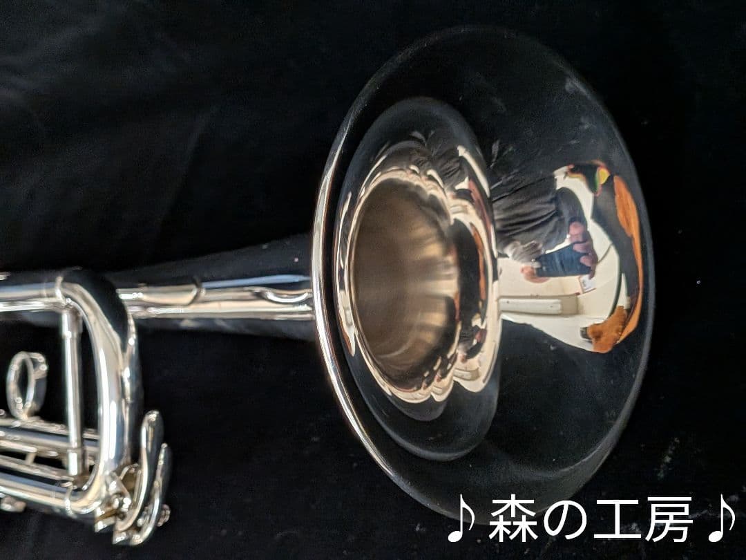 商談中【おこた】ヤマハ YTR4335G トランペット‼️