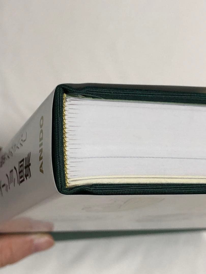 奥山玲子　アニメーション画集　アニドウ　宮崎駿　高畑勲　ジブリ