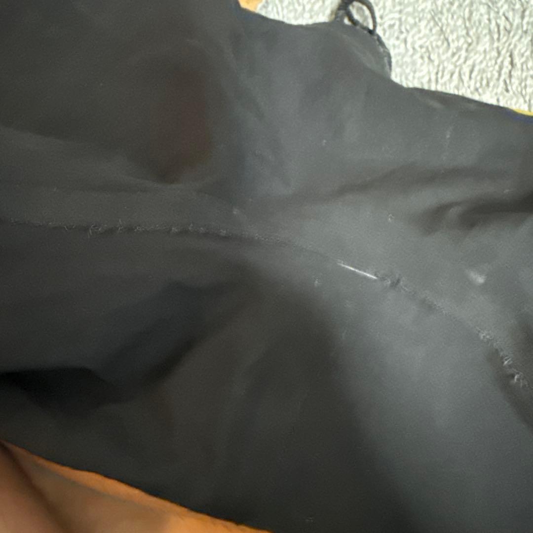 【トマトさん専用】arena Powerskin Carbon