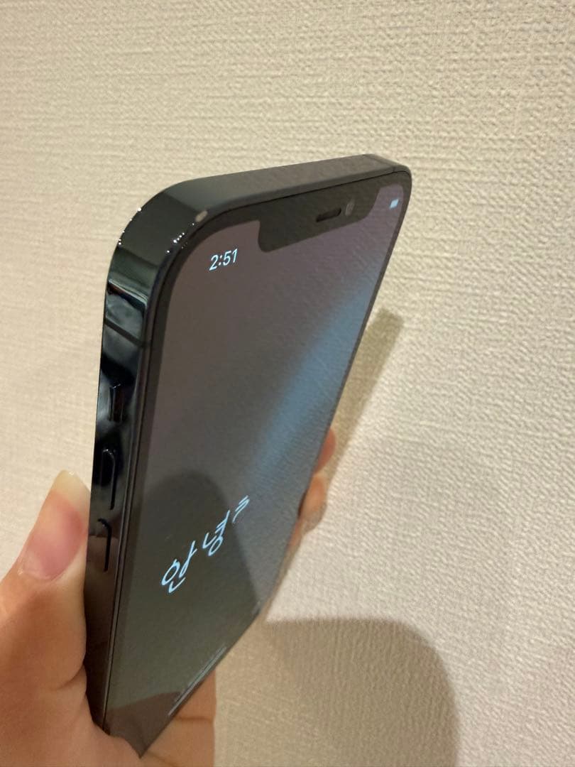 H*o様 Apple iPhone 12 Pro パシフィックブルー（docom