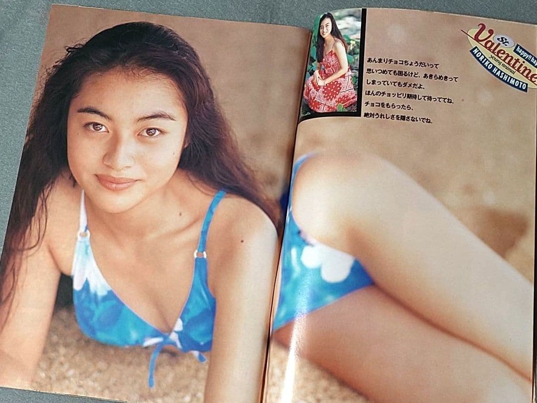 ヤングアニマル1995年4号/ベルセルク第52話/橋本典子表紙&水着グラビア