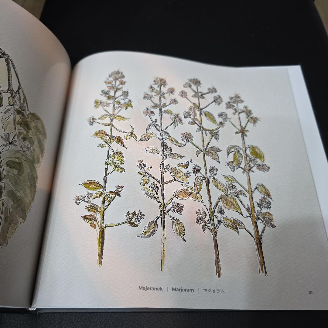 ポーランド 関西万博 Expo 2025 | 植物イラスト集 非売品