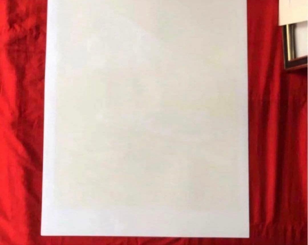 2244様感謝‼️ 富士愛‼️富士vsベルナール・ビュフェ「富士山」リトシート1枚