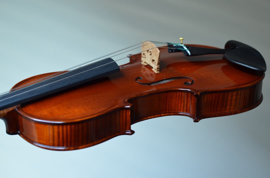 【新品】Gliga Cristian Maestro 4/4 そうちゃん