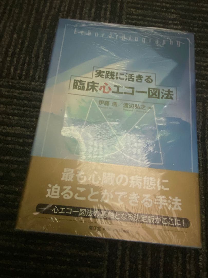 実践に活きる 臨床心エコー図法 伊藤浩 渡辺弘之