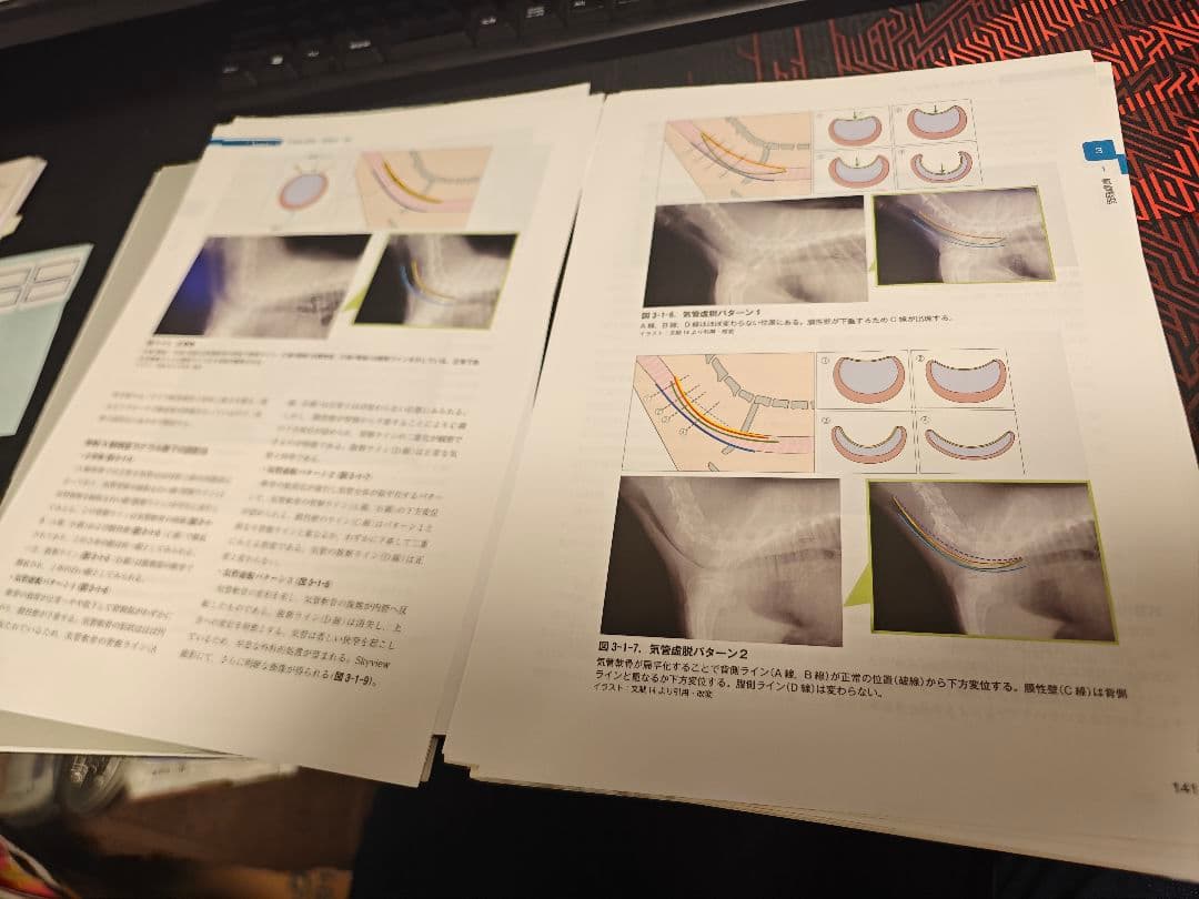 犬と猫の呼吸器診療　裁断済