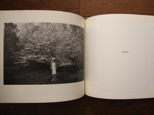 アート・デザイン・音楽 Lee Friedlander 1960s-2000s