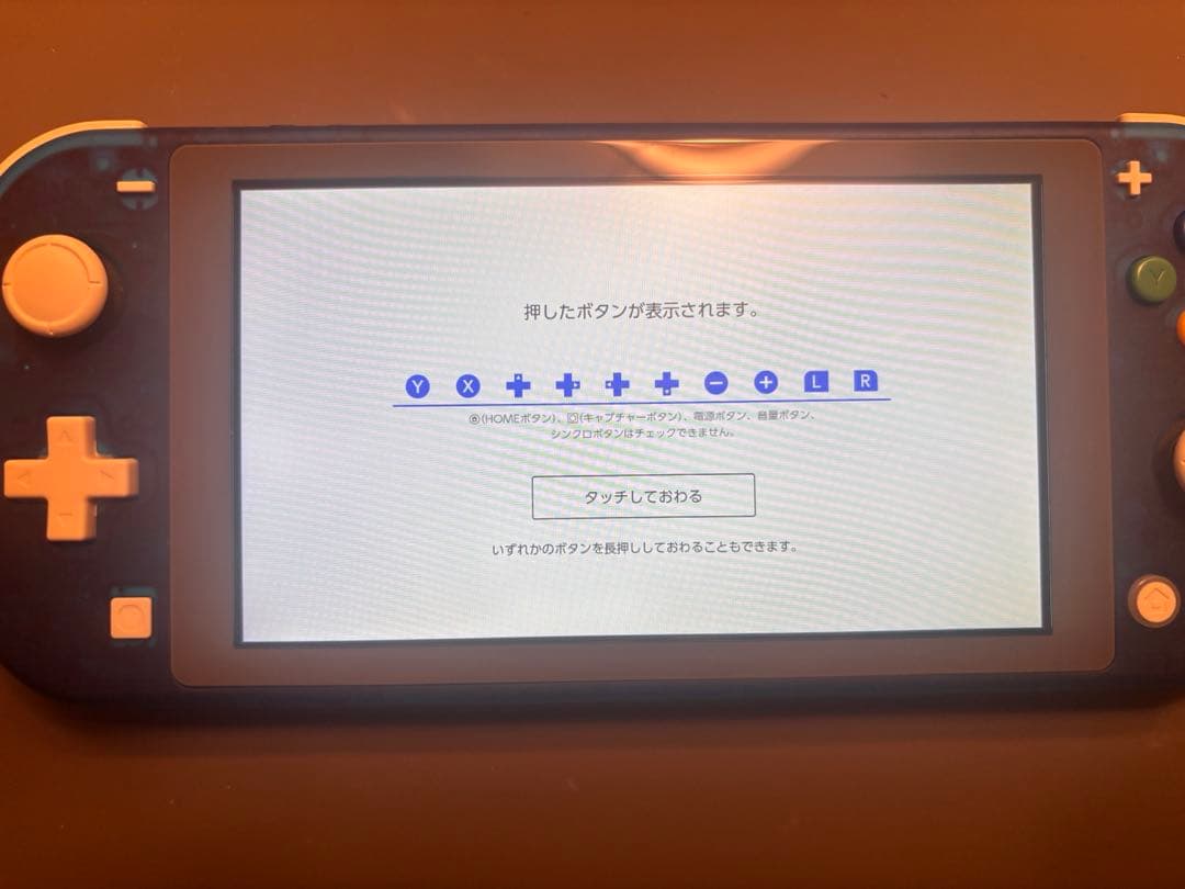 Nintendo Switch Lite クリアブルー仕様カスタム品