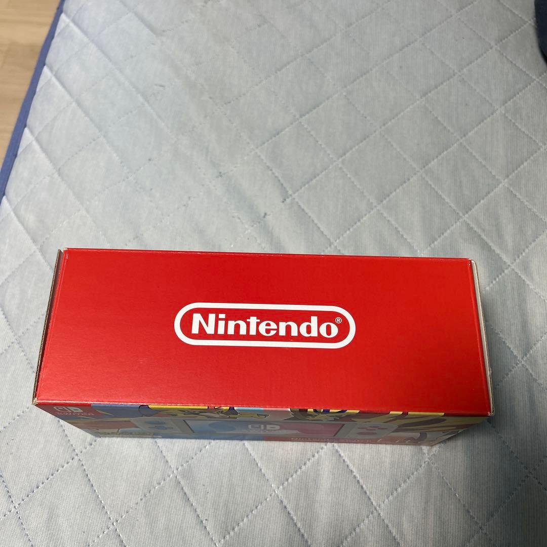 Nintendo Switch Lite ザシアン・ザマゼンタ　本体＋充電器