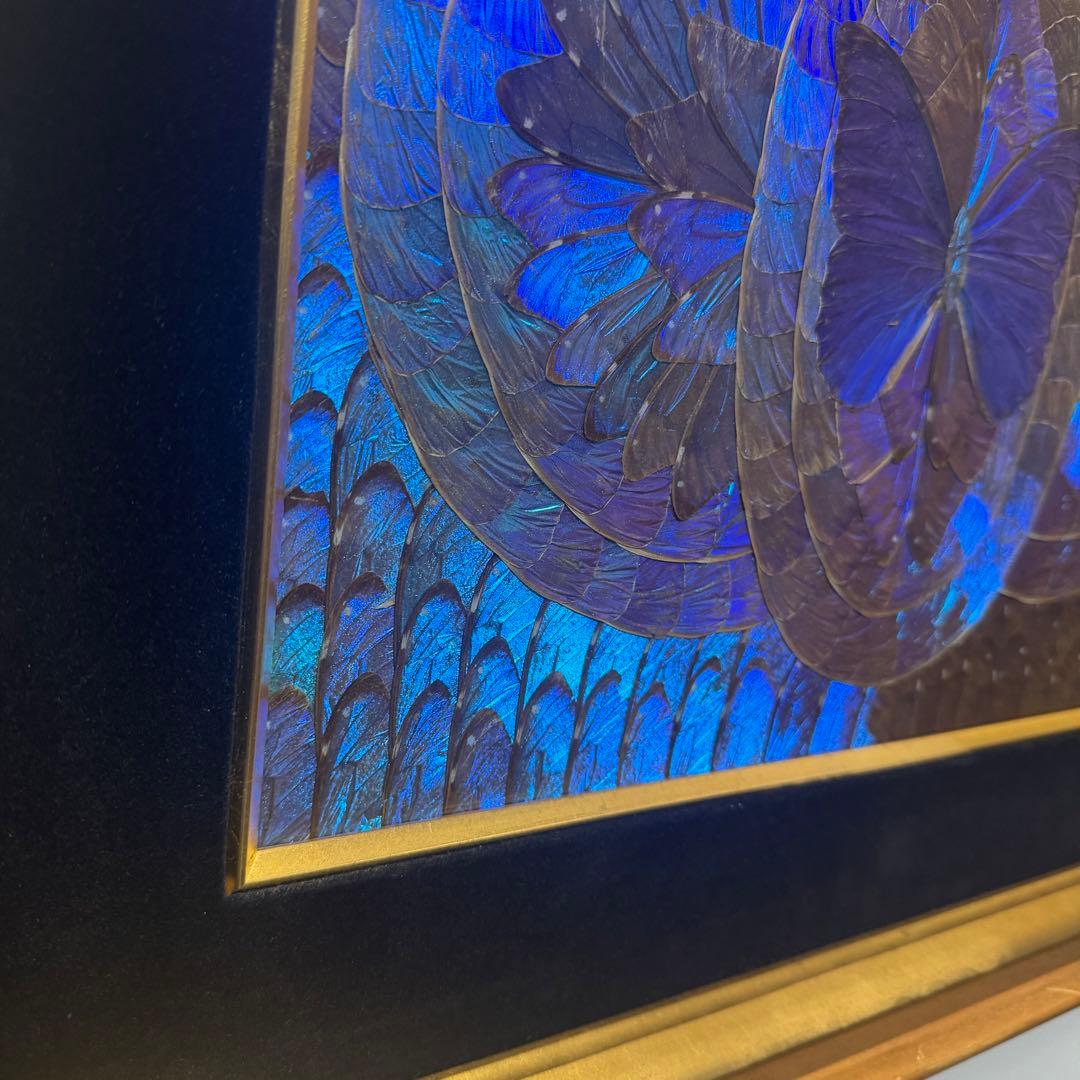RYU【希少】額装 モルフォ蝶 羽絵 アート アンティーク インテリア
