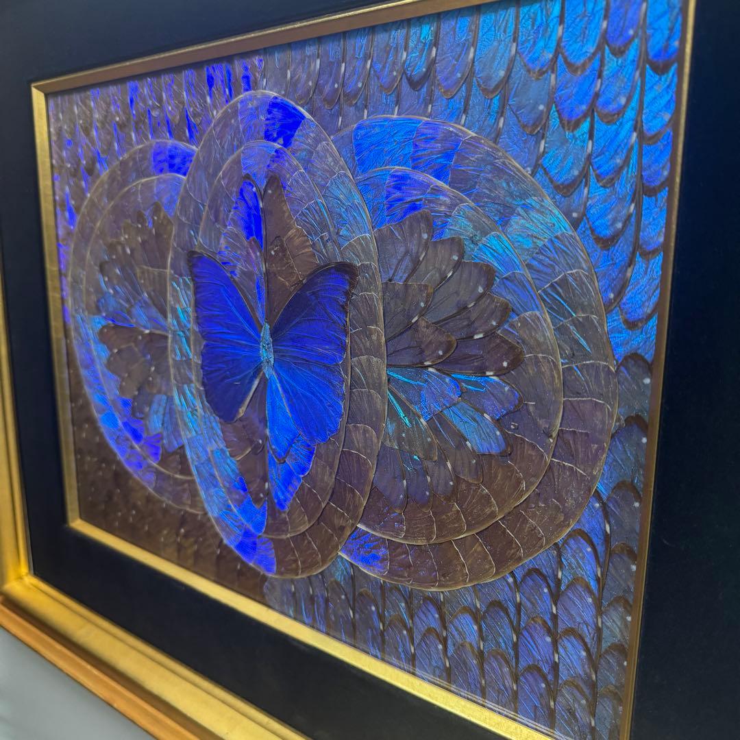 RYU【希少】額装 モルフォ蝶 羽絵 アート アンティーク インテリア