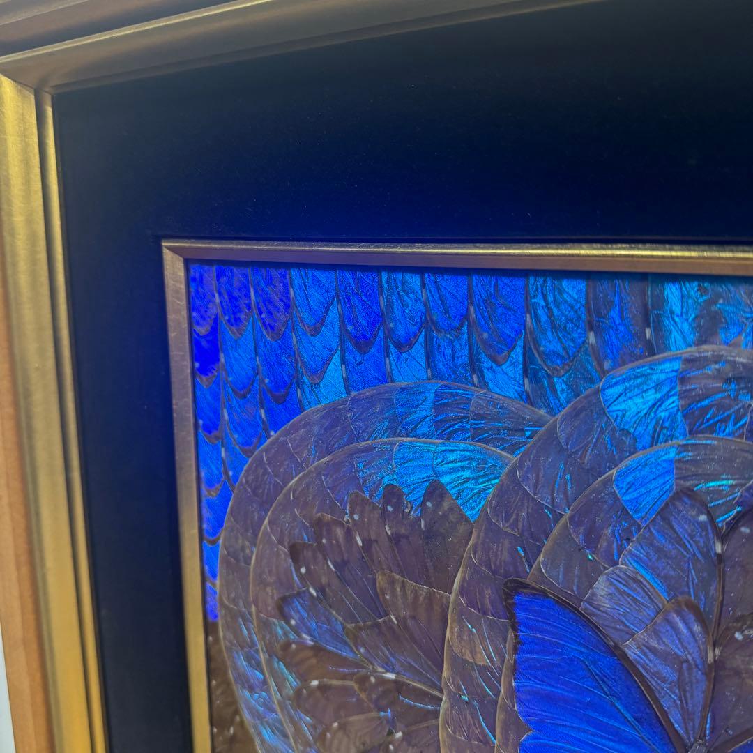 RYU【希少】額装 モルフォ蝶 羽絵 アート アンティーク インテリア