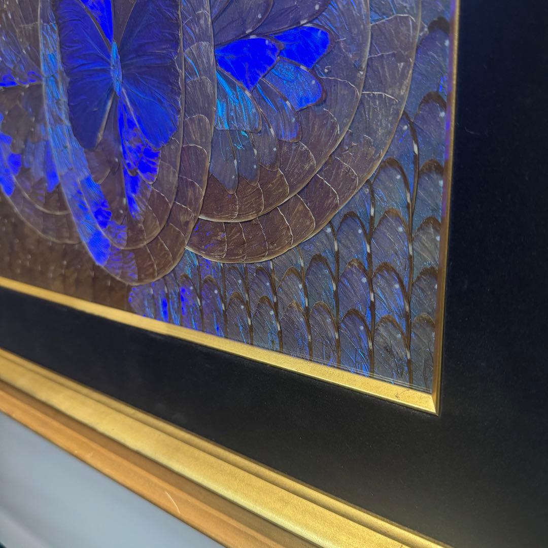 RYU【希少】額装 モルフォ蝶 羽絵 アート アンティーク インテリア