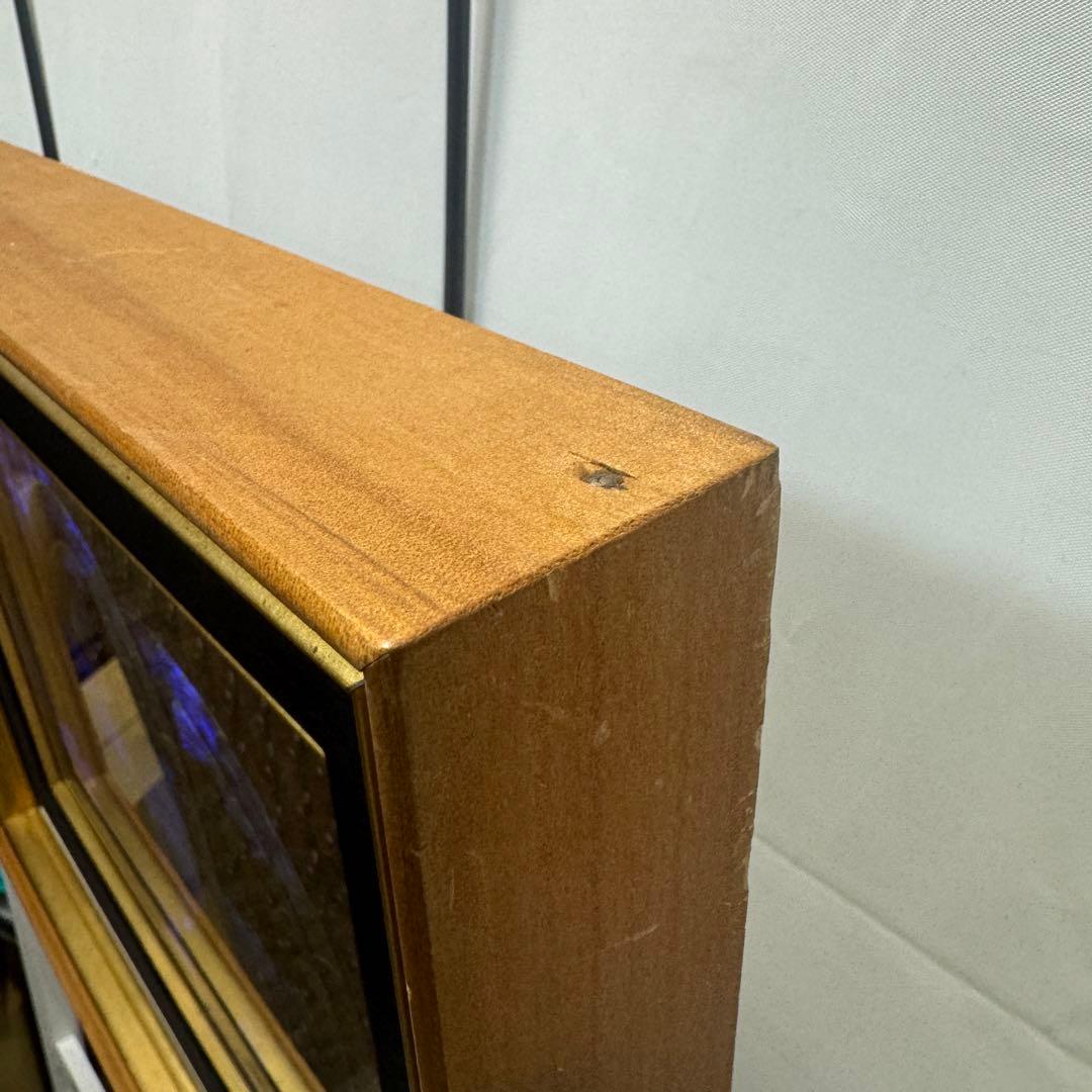 RYU【希少】額装 モルフォ蝶 羽絵 アート アンティーク インテリア