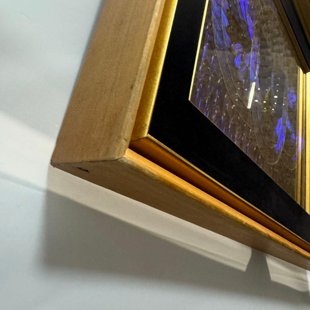 RYU【希少】額装 モルフォ蝶 羽絵 アート アンティーク インテリア