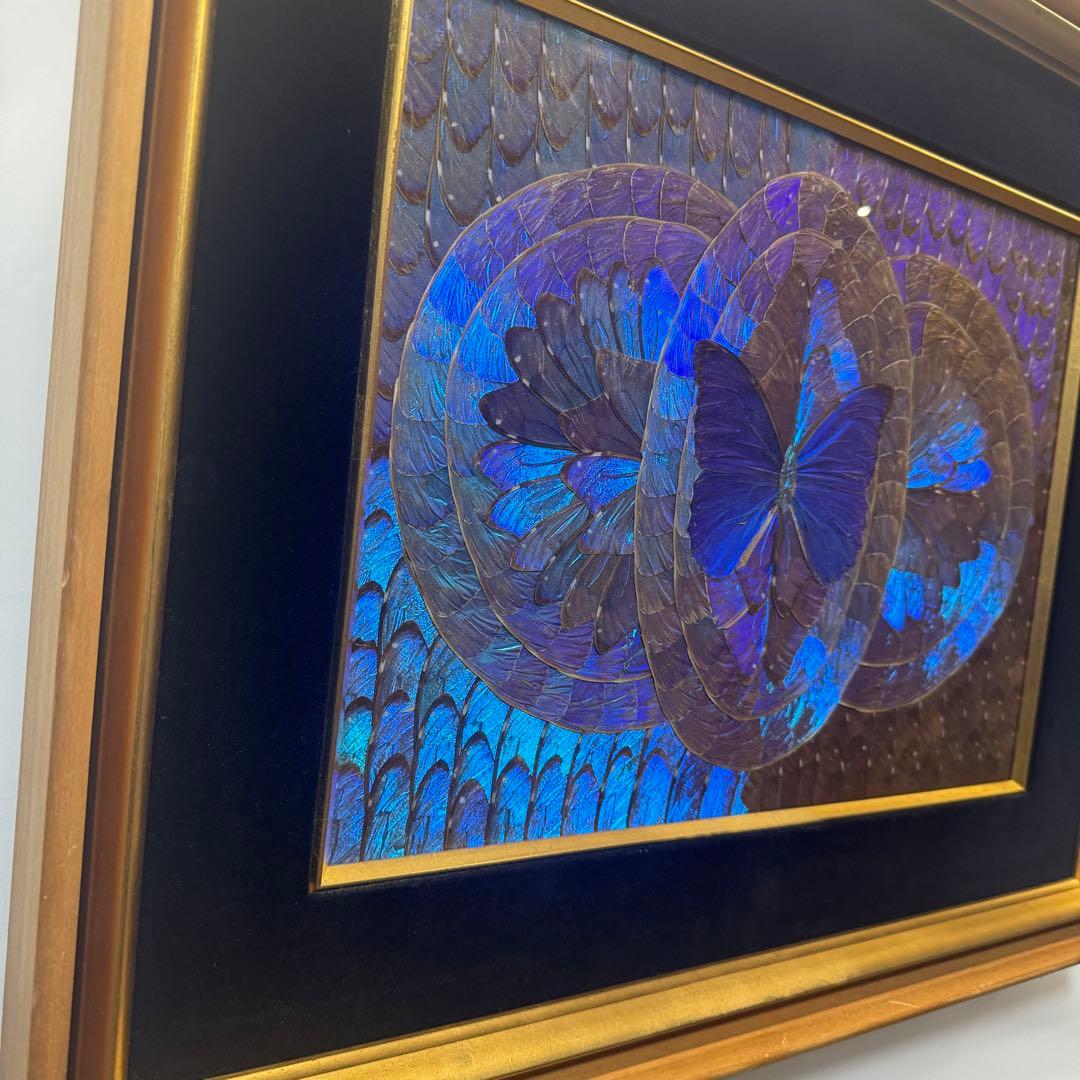 RYU【希少】額装 モルフォ蝶 羽絵 アート アンティーク インテリア