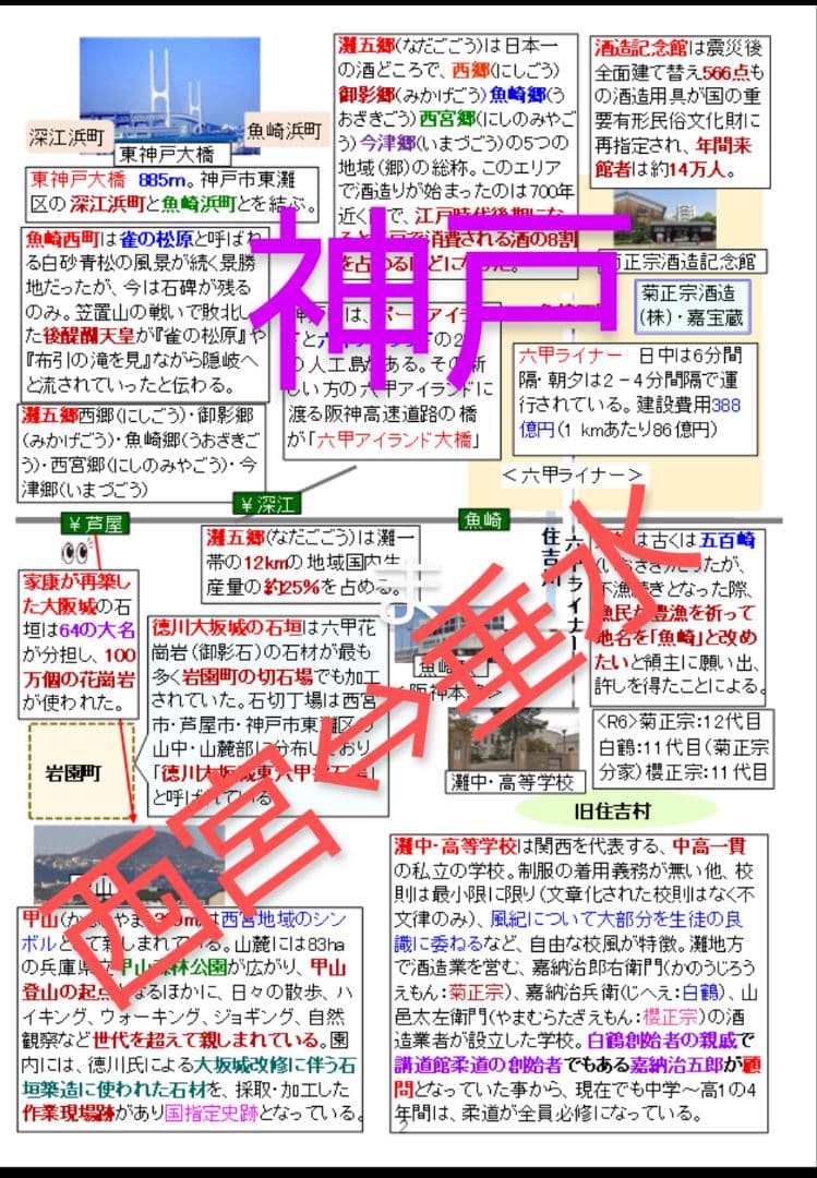 バスガイド教本　ハグさんセット