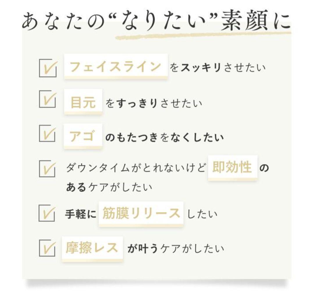 ステラビューティー リン STELLA BEAUTE Rin 美顔器 石井美保