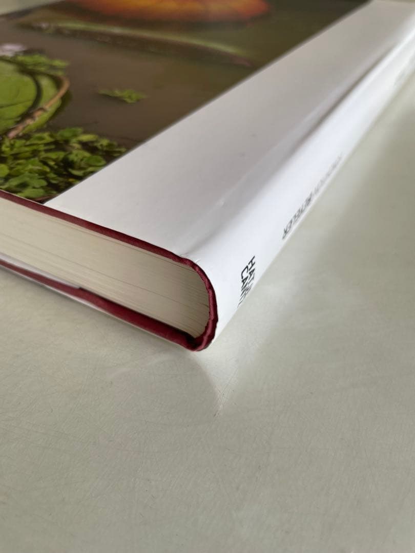 アート・デザイン・音楽 Wolfgang Tillmans FONDATION BEYELER