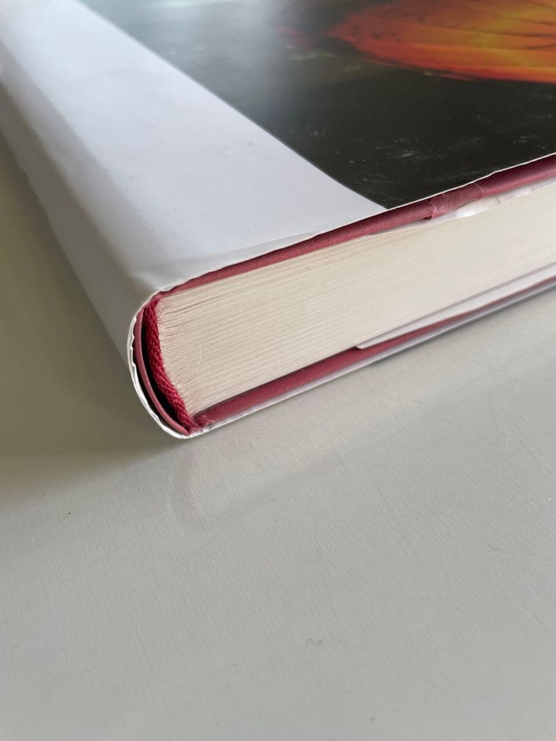 アート・デザイン・音楽 Wolfgang Tillmans FONDATION BEYELER