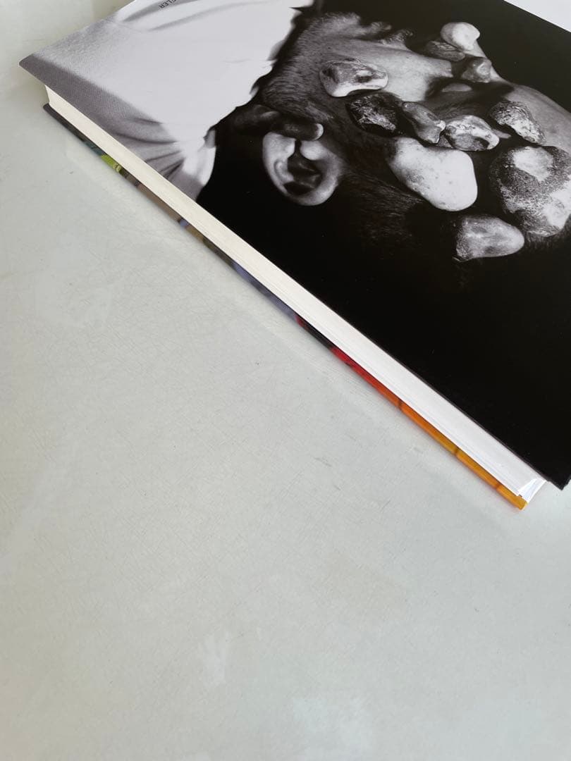 アート・デザイン・音楽 Wolfgang Tillmans FONDATION BEYELER