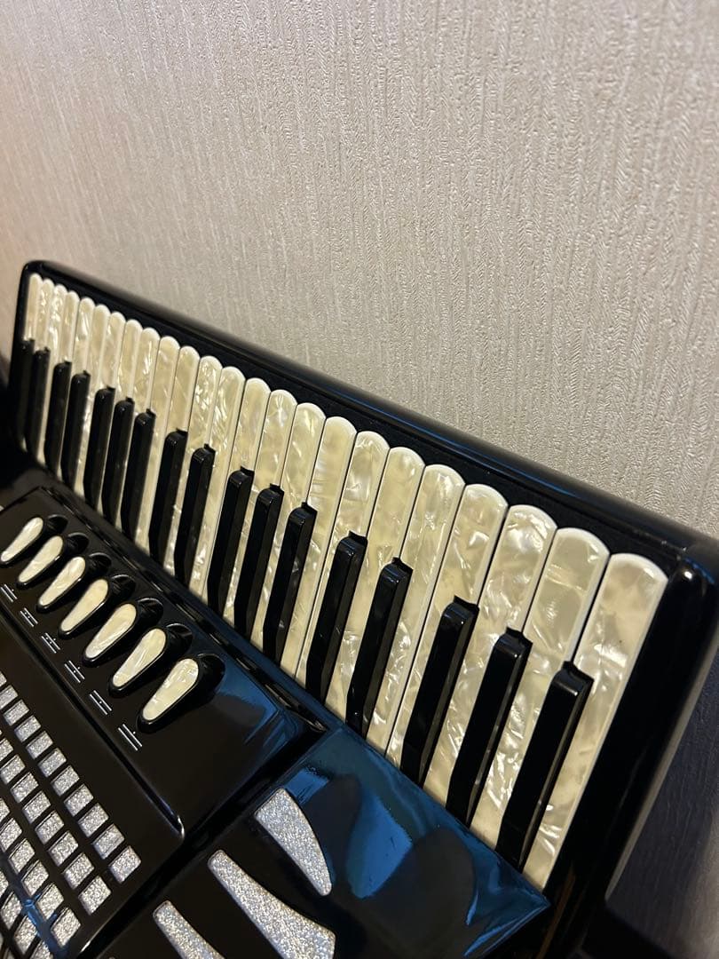 EXCELSIOR308 ピアノアコーディオン 41鍵120ベース