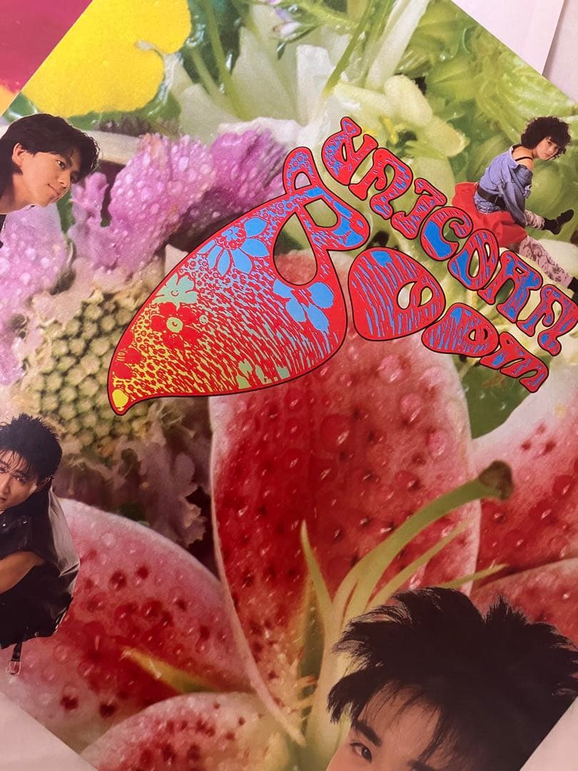 UNICORN BOOM LP レコード