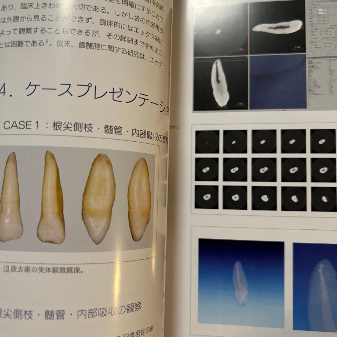 QDT Art & Practice 2015年6月号