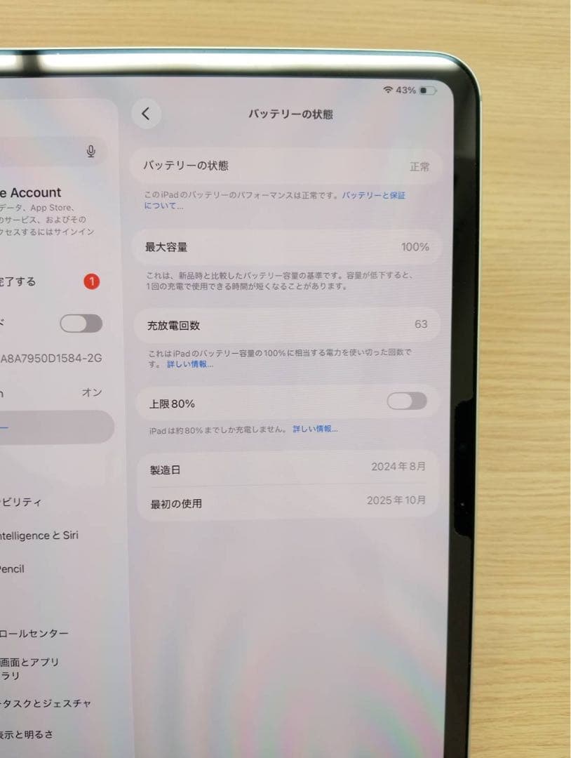 【美品】iPad Pro11インチM4 256GB バッテリー100%