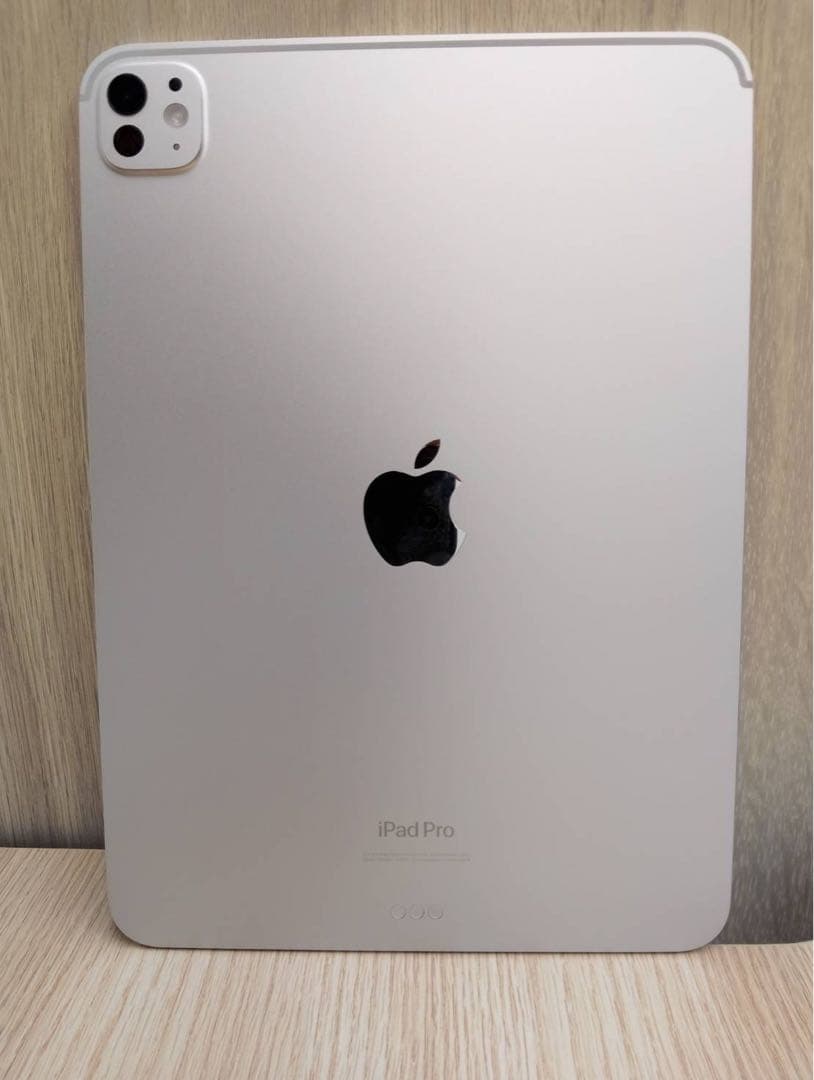 【美品】iPad Pro11インチM4 256GB バッテリー100%