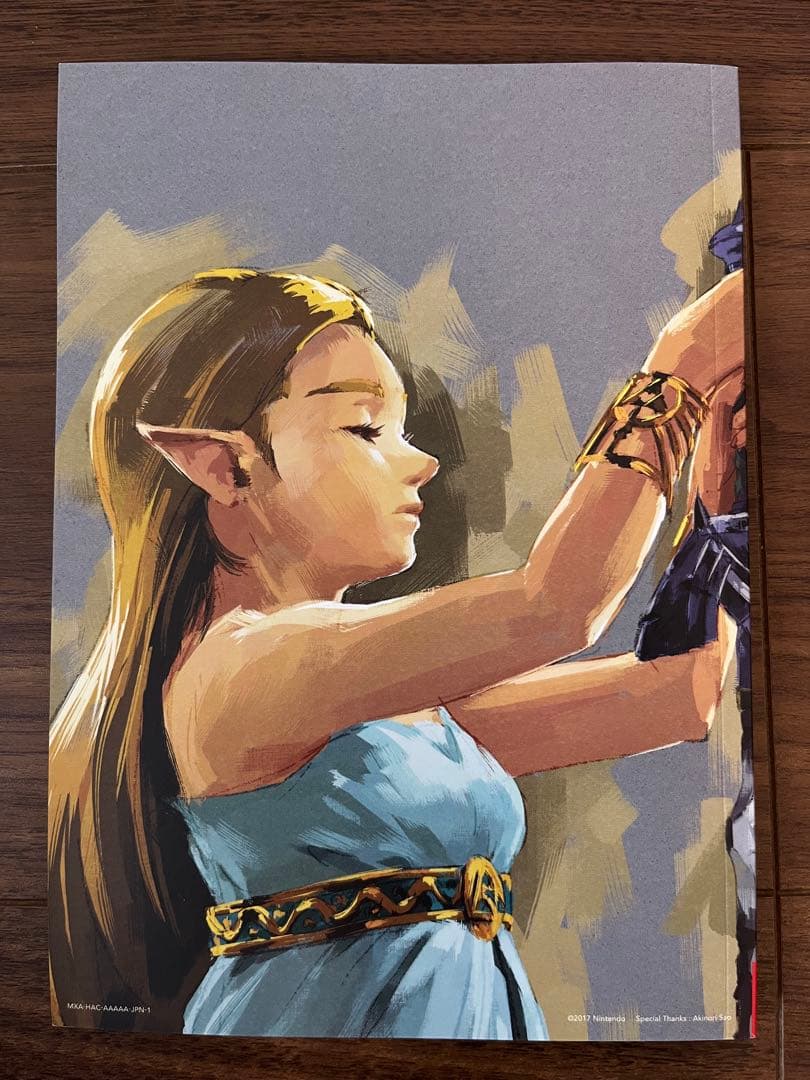 【美品】ゼルダの伝説BOW エキスパンションパス&冒険ガイドブック付限定スリーブ