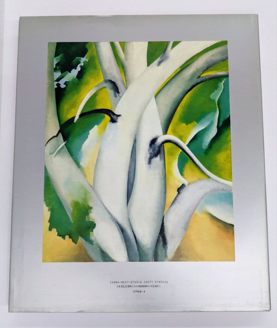 オキーフ画集 ニューヨークイヤーズ