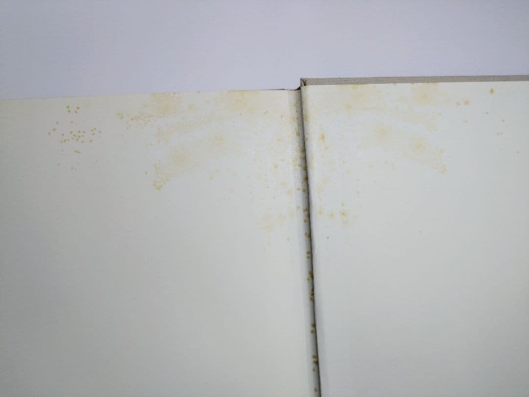 オキーフ画集 ニューヨークイヤーズ