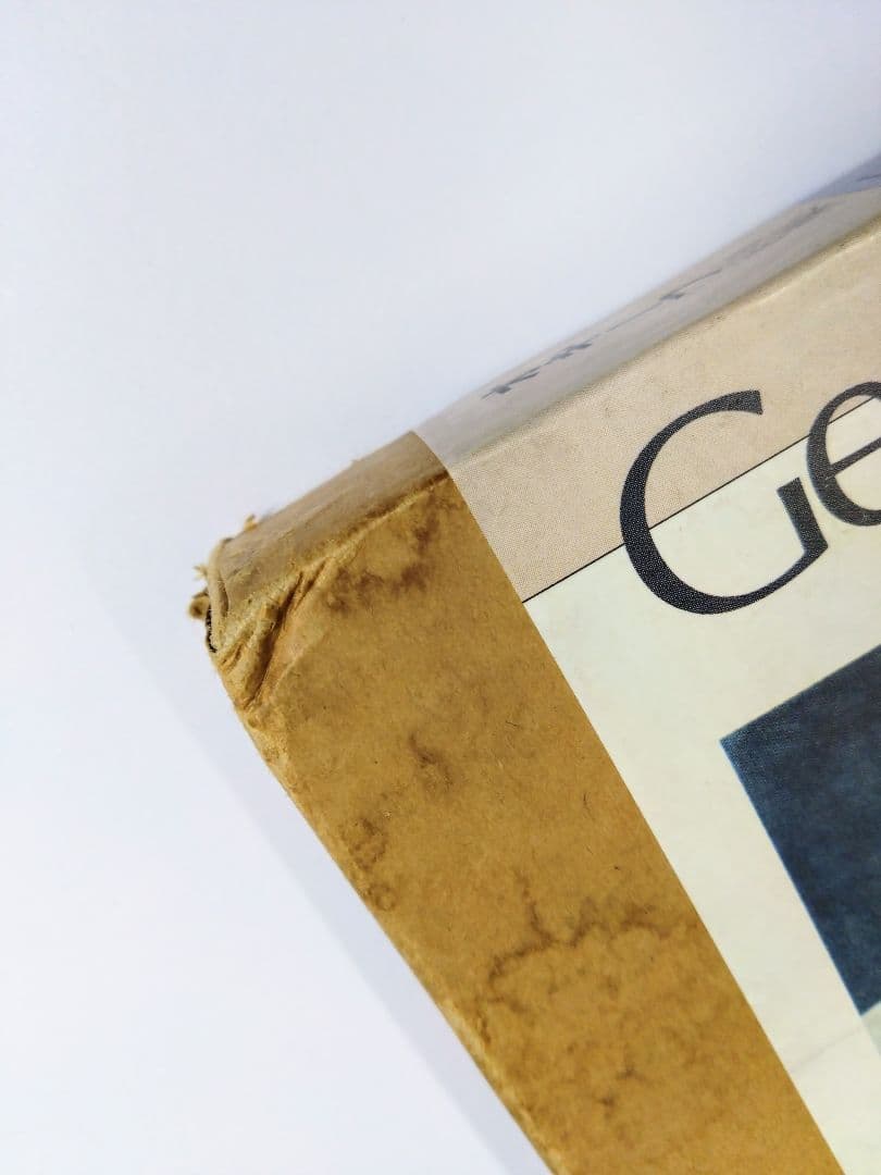 オキーフ画集 ニューヨークイヤーズ