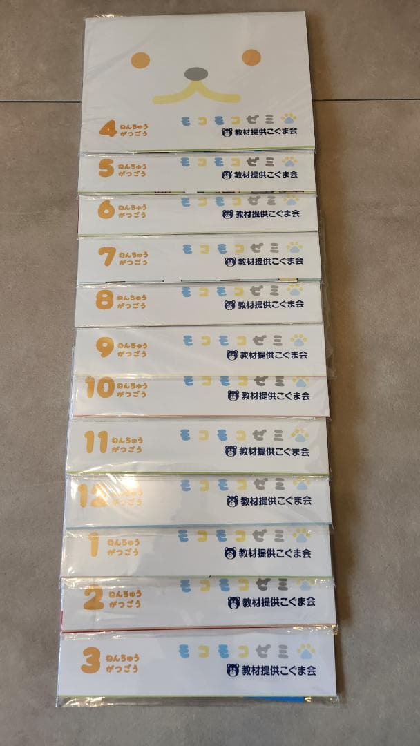 モコモコゼミ　年中　全12ヶ月分