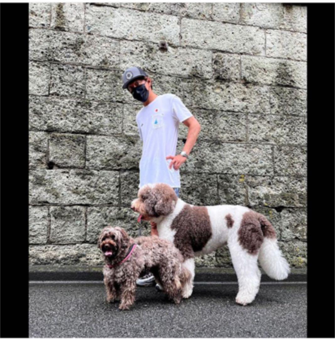 <新品>Quiksilver NAMINORI JAPAN Tシャツ ホワイト