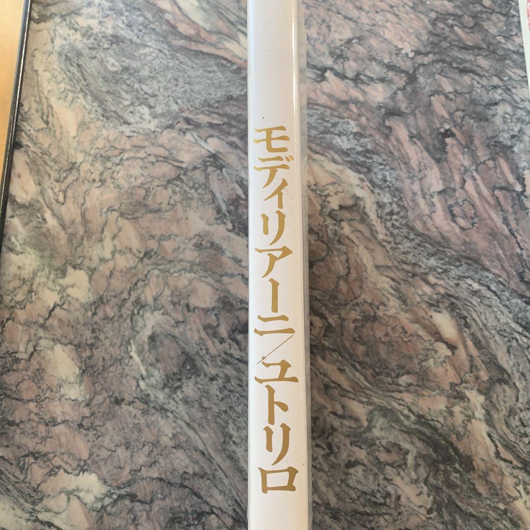 モディリアーニ/ユトリロ　現代世界美術全集16