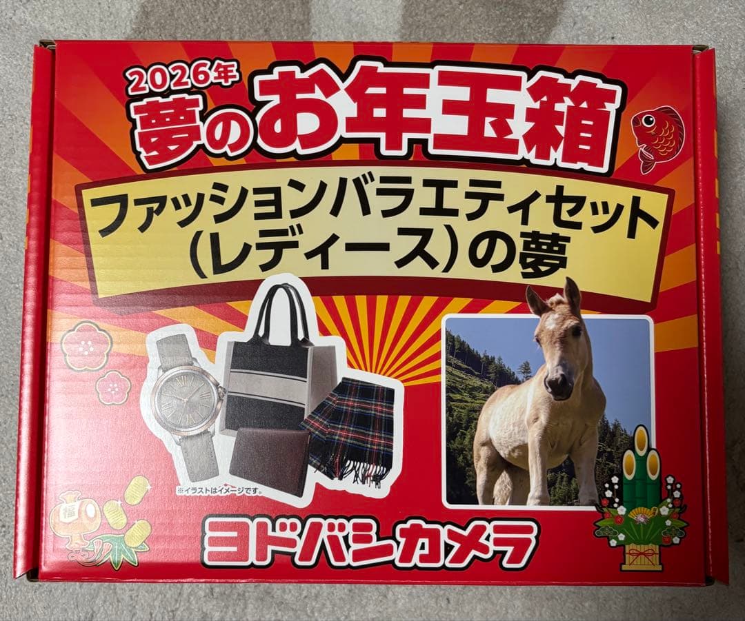 ヨドバシカメラ福袋ファッションバラエティセット レディースの夢2026年