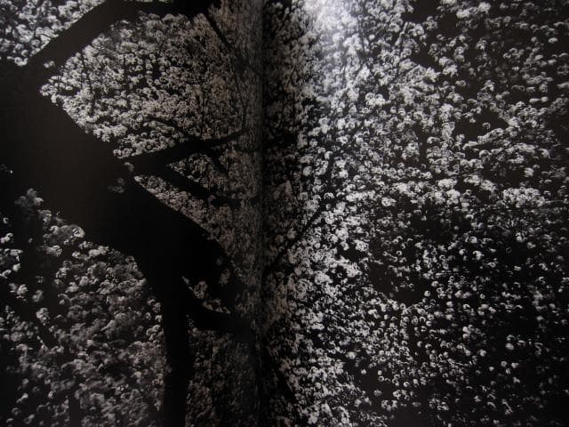 ANGO　森山大道　Daido Moriyama　直筆サイン入り