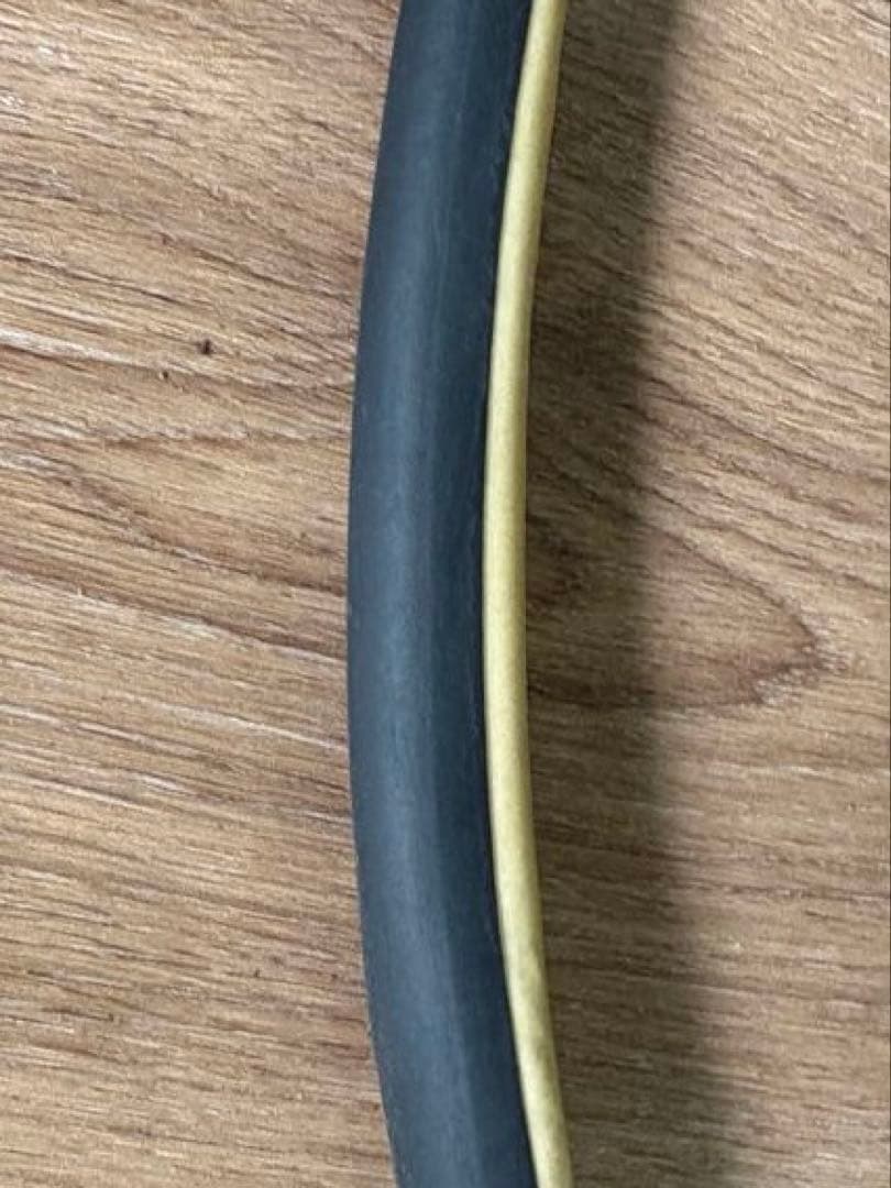 ビットリア　ピスタ スピード G2.0 19-28 チューブラー 未使用2本