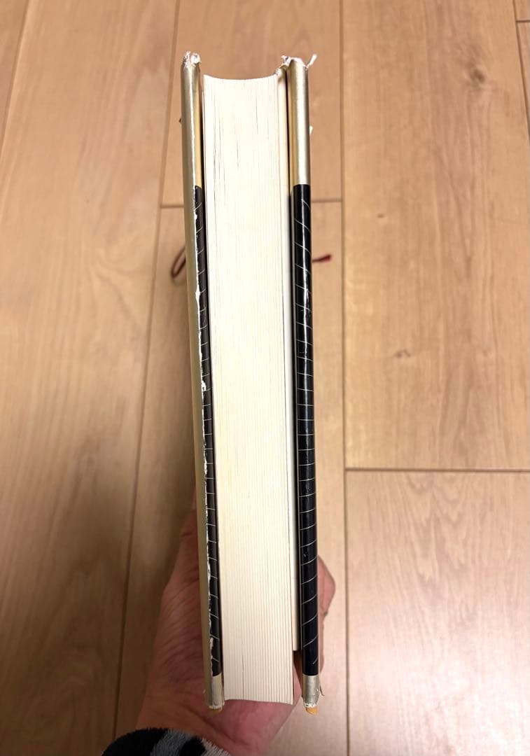強運の法則 : 社長のための「西田式経営脳力全開」8大プログラム