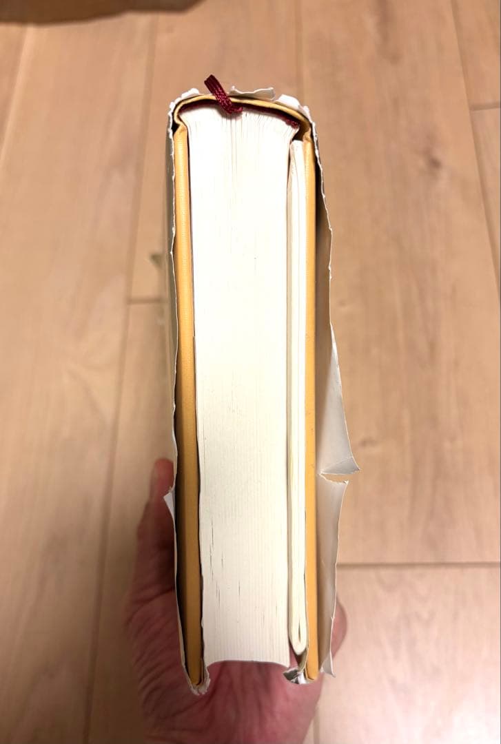 強運の法則 : 社長のための「西田式経営脳力全開」8大プログラム