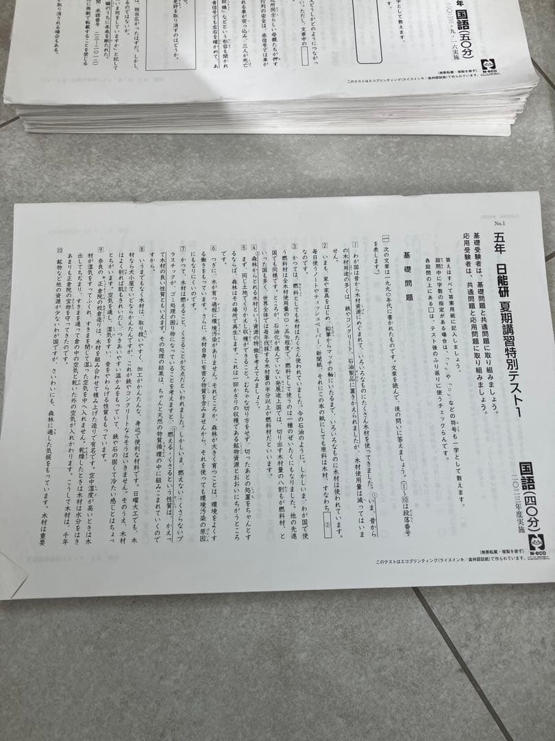 日能研2023年度5年生　公開模試　育成テスト ニ教科全部　社会理解後期分