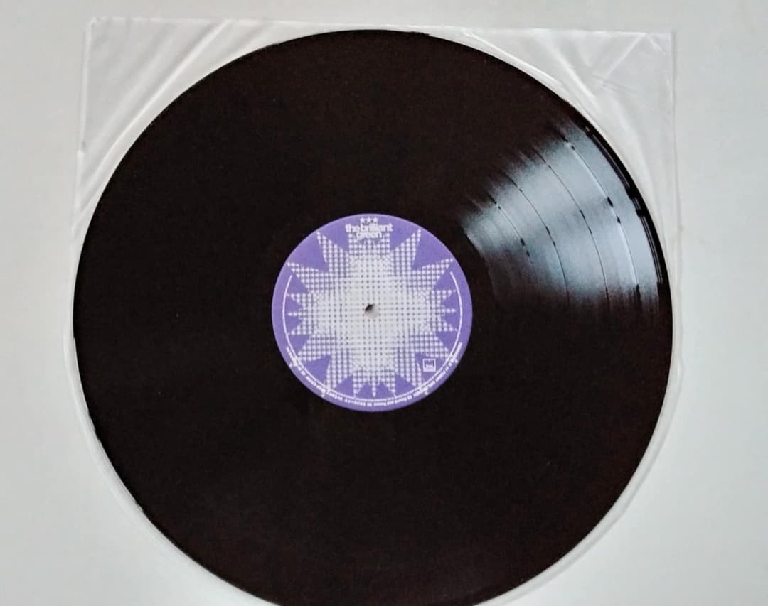 邦楽 the brilliant green TERRA 2001 (LP)