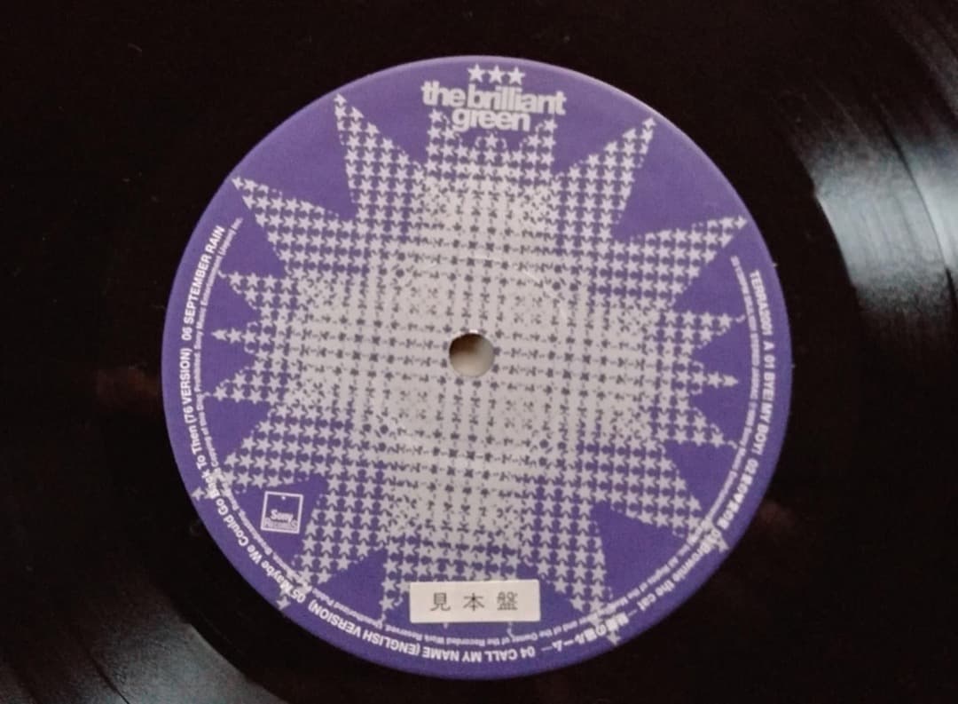 邦楽 the brilliant green TERRA 2001 (LP)