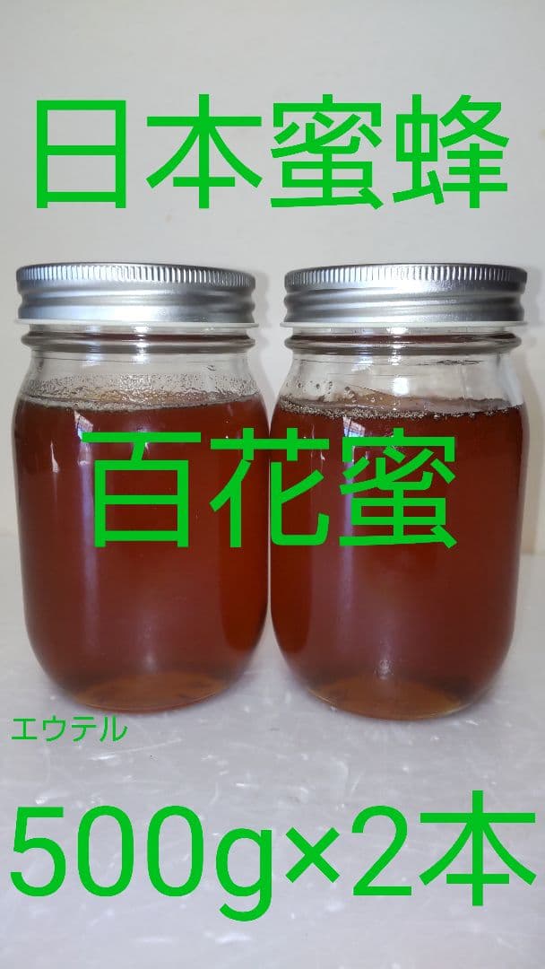 はるちゃん　NHK大河ドラマ 麒麟がくる　DVD全巻セット　全13巻