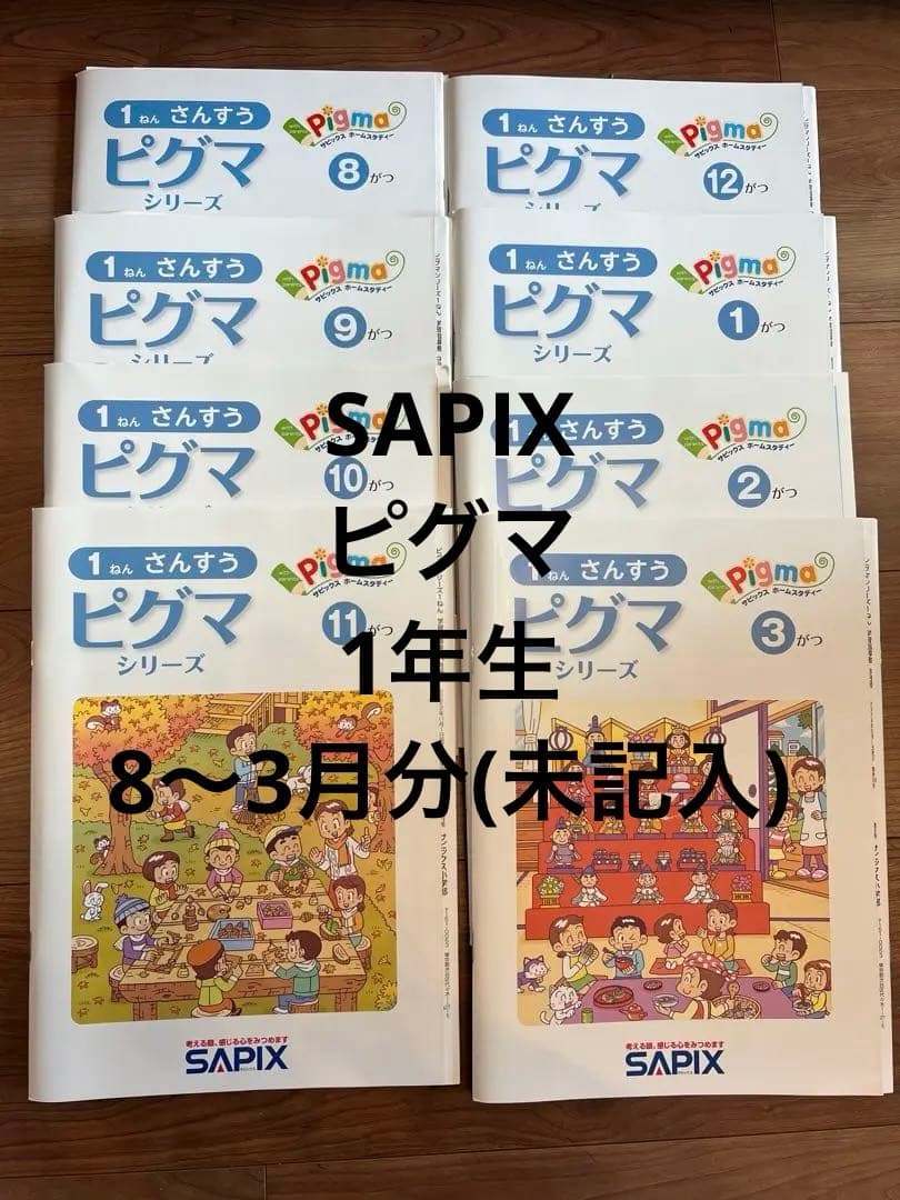 《未記入》サピックス　通信教材　ピグマ　1年生8〜3月分