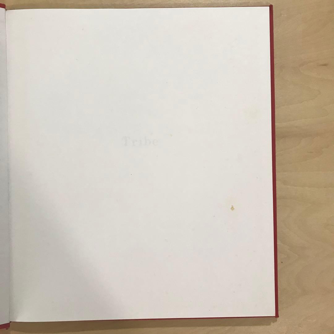 Michiko Kitamura: Tribe トライブ 北村道子